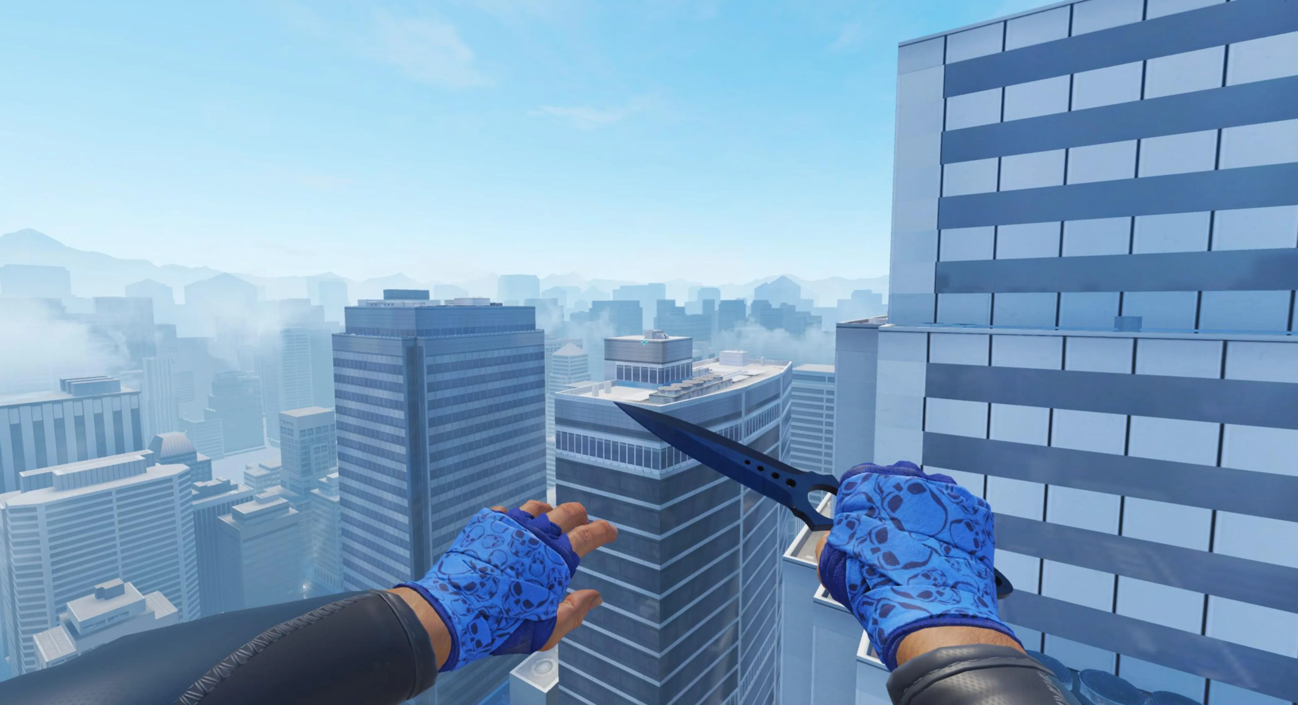 Hand Wraps Cobalt Skulls and doppler knife